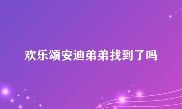 欢乐颂安迪弟弟找到了吗