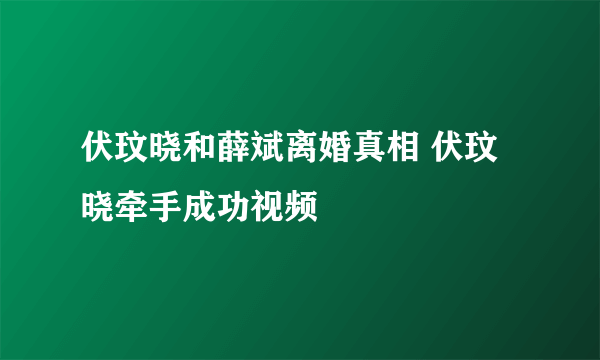 伏玟晓和薛斌离婚真相 伏玟晓牵手成功视频