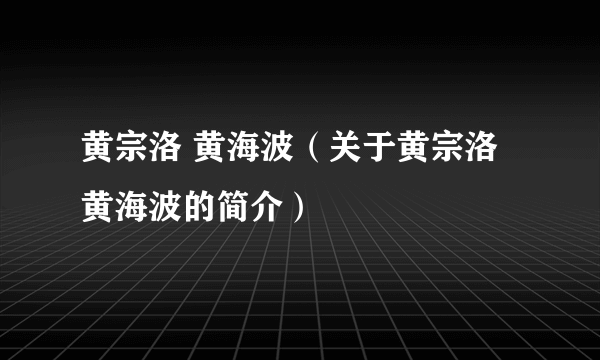 黄宗洛 黄海波（关于黄宗洛 黄海波的简介）