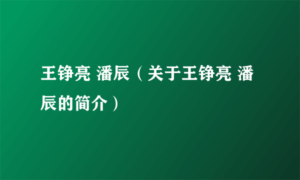 王铮亮 潘辰（关于王铮亮 潘辰的简介）