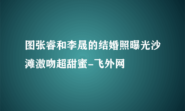 图张睿和李晟的结婚照曝光沙滩激吻超甜蜜-飞外网