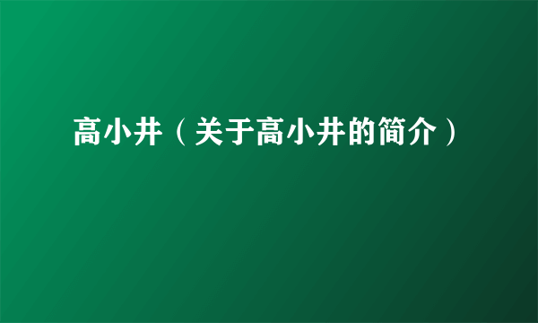 高小井（关于高小井的简介）