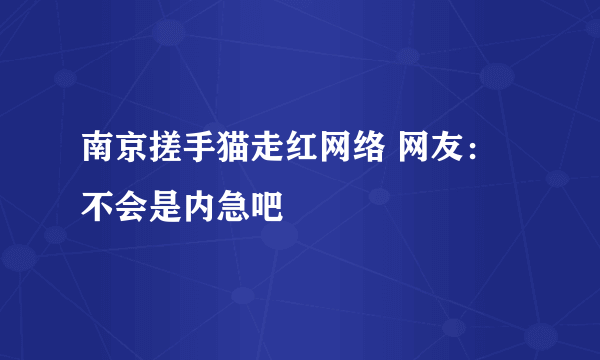 南京搓手猫走红网络 网友：不会是内急吧