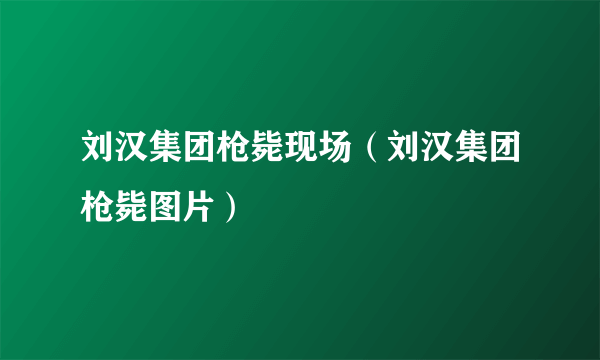 刘汉集团枪毙现场（刘汉集团枪毙图片）