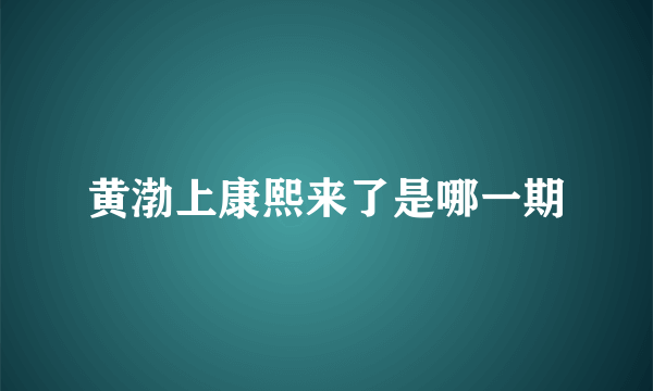 黄渤上康熙来了是哪一期