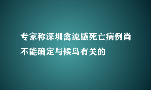 专家称深圳禽流感死亡病例尚不能确定与候鸟有关的