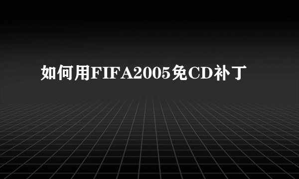 如何用FIFA2005免CD补丁