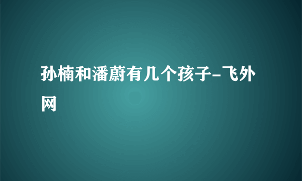 孙楠和潘蔚有几个孩子-飞外网