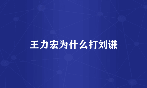 王力宏为什么打刘谦