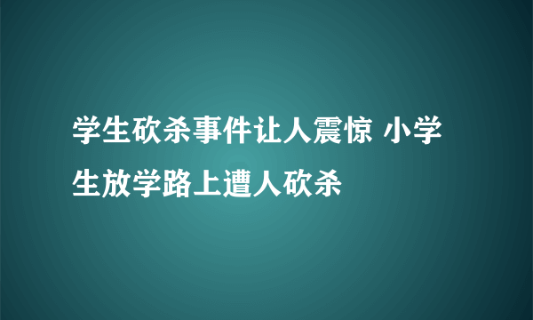 学生砍杀事件让人震惊 小学生放学路上遭人砍杀