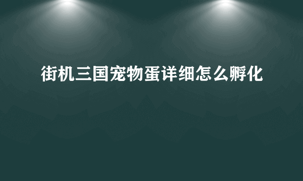 街机三国宠物蛋详细怎么孵化