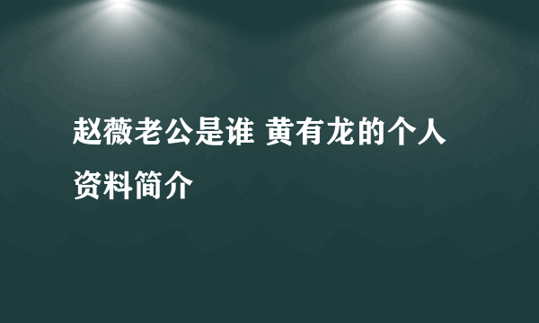 赵薇老公是谁 黄有龙的个人资料简介