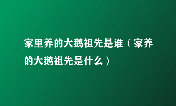 家里养的大鹅祖先是谁（家养的大鹅祖先是什么）