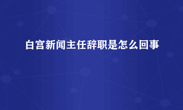 白宫新闻主任辞职是怎么回事