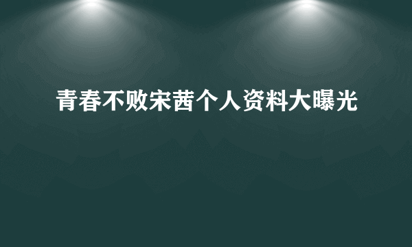 青春不败宋茜个人资料大曝光