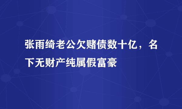 张雨绮老公欠赌债数十亿，名下无财产纯属假富豪