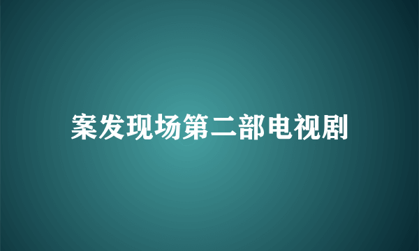 案发现场第二部电视剧