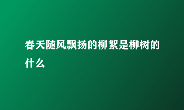 春天随风飘扬的柳絮是柳树的什么