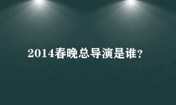 2014春晚总导演是谁？