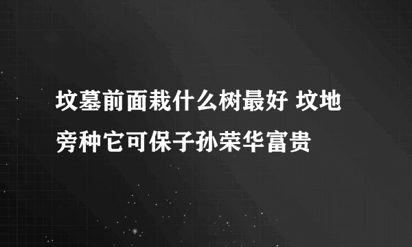 坟墓前面栽什么树最好 坟地旁种它可保子孙荣华富贵