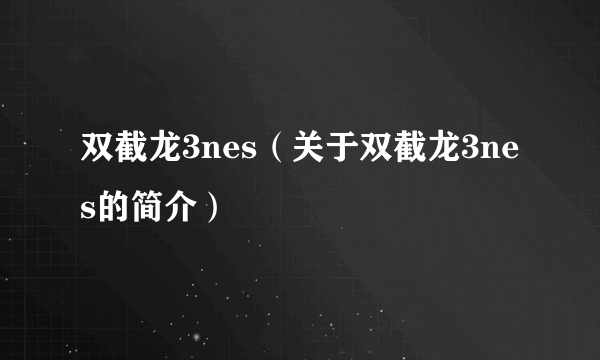 双截龙3nes（关于双截龙3nes的简介）