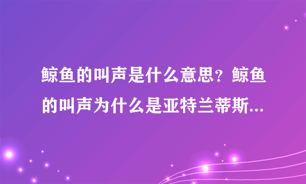 鲸鱼的叫声是什么意思？鲸鱼的叫声为什么是亚特兰蒂斯_飞外网