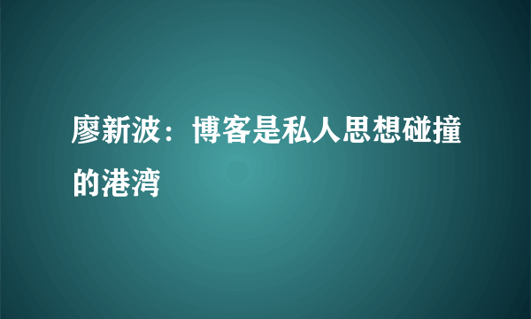 廖新波：博客是私人思想碰撞的港湾