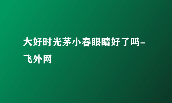 大好时光茅小春眼睛好了吗- 飞外网