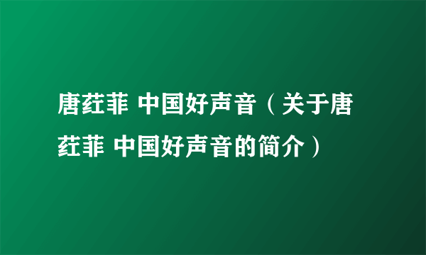 唐荭菲 中国好声音（关于唐荭菲 中国好声音的简介）