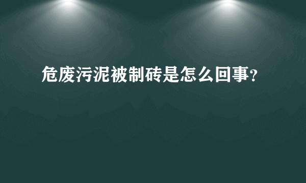 危废污泥被制砖是怎么回事？