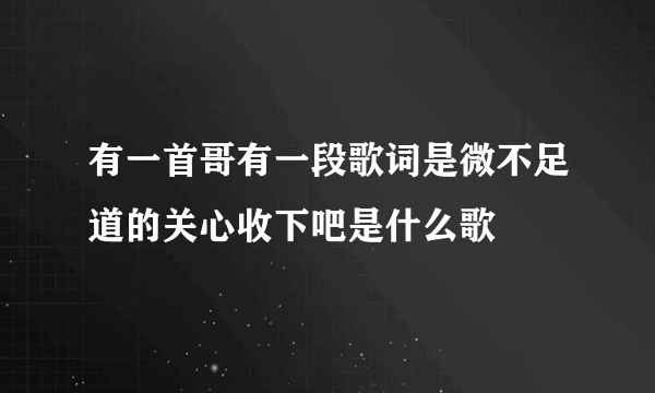 有一首哥有一段歌词是微不足道的关心收下吧是什么歌