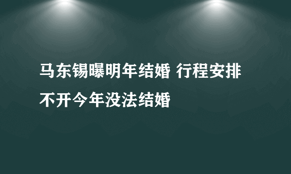 马东锡曝明年结婚 行程安排不开今年没法结婚