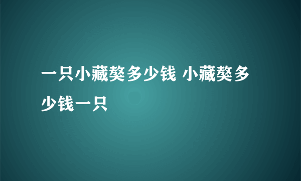 一只小藏獒多少钱 小藏獒多少钱一只