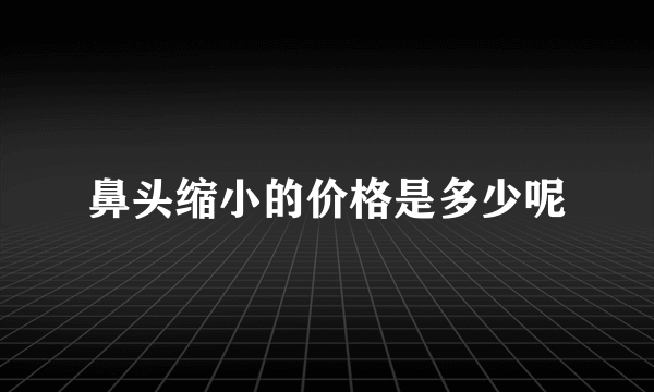 鼻头缩小的价格是多少呢