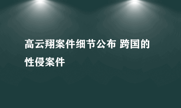 高云翔案件细节公布 跨国的性侵案件