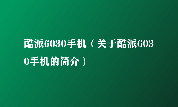 酷派6030手机（关于酷派6030手机的简介）