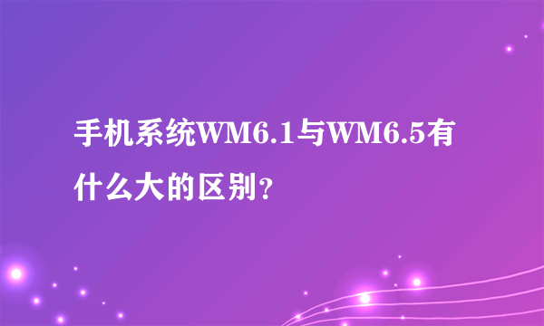 手机系统WM6.1与WM6.5有什么大的区别？