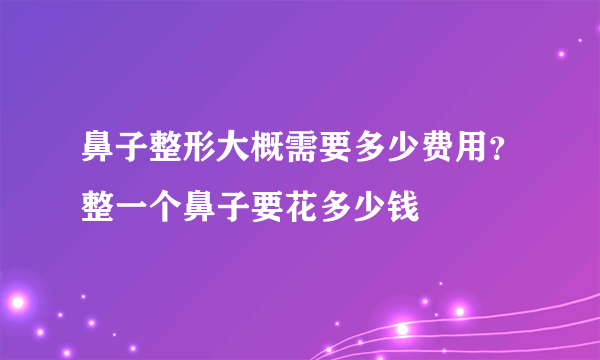 鼻子整形大概需要多少费用？整一个鼻子要花多少钱