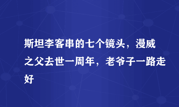 斯坦李客串的七个镜头，漫威之父去世一周年，老爷子一路走好