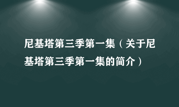 尼基塔第三季第一集（关于尼基塔第三季第一集的简介）