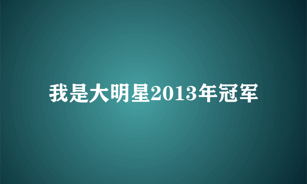 我是大明星2013年冠军