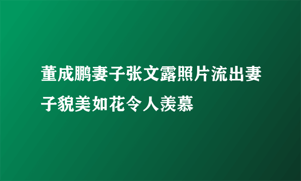 董成鹏妻子张文露照片流出妻子貌美如花令人羡慕