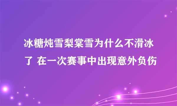 冰糖炖雪梨棠雪为什么不滑冰了 在一次赛事中出现意外负伤