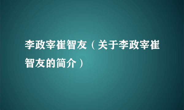 李政宰崔智友（关于李政宰崔智友的简介）