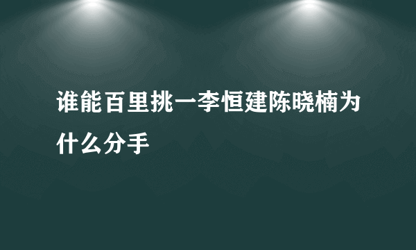 谁能百里挑一李恒建陈晓楠为什么分手