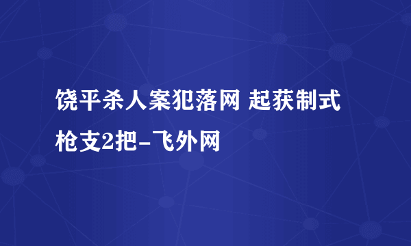 饶平杀人案犯落网 起获制式枪支2把-飞外网