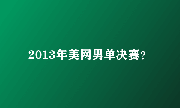 2013年美网男单决赛？