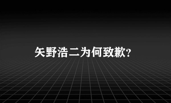 矢野浩二为何致歉？