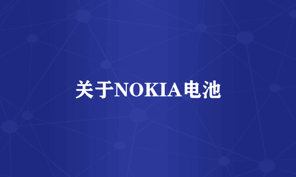 关于NOKIA电池