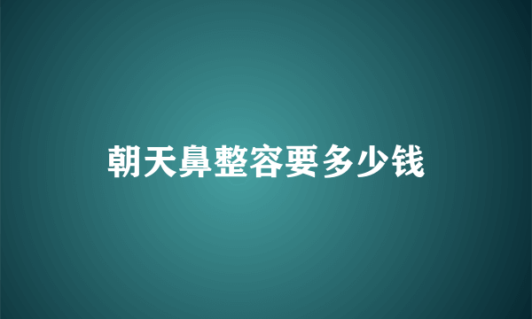 朝天鼻整容要多少钱